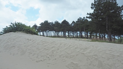 Дюны на побережье Голландии