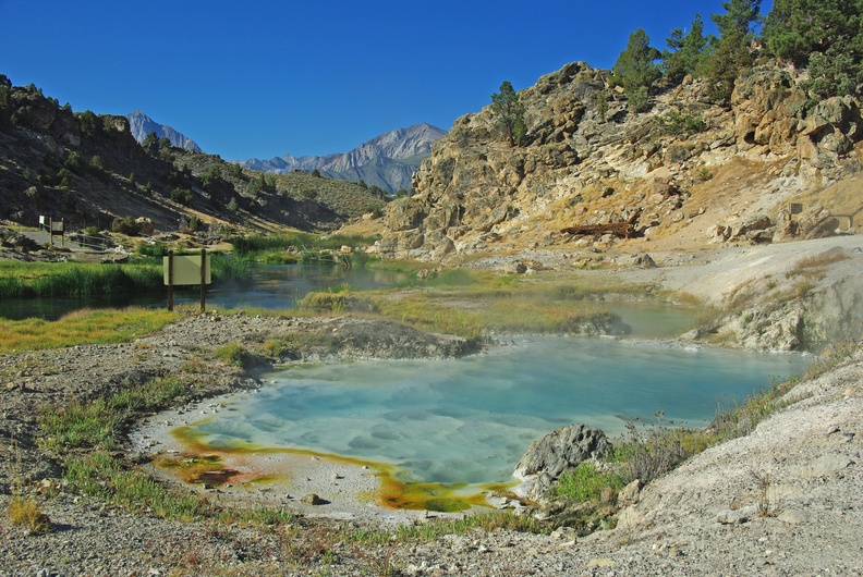 Виола воды эльбы фото