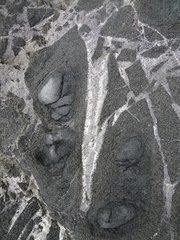 Зона гидротермальной проработки пород магаданского батолита
