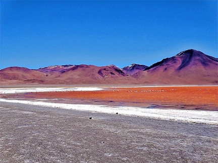 Соленое озеро Colorada на плато Альтиплано