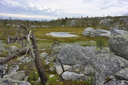 Небольшие болота на Западно-Карельской возвышенности