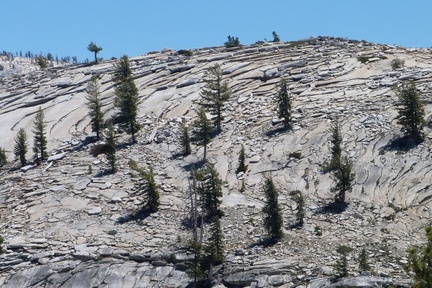 Граниты Sierra Nevada Batholith