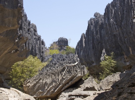 Поверхностный карст на Мадагаскаре